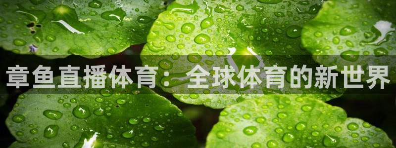 章鱼直播体育：全球体育的新世界