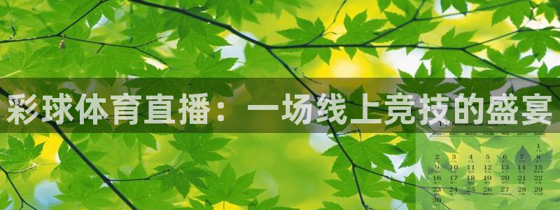 彩球体育直播：一场线上竞技的盛宴