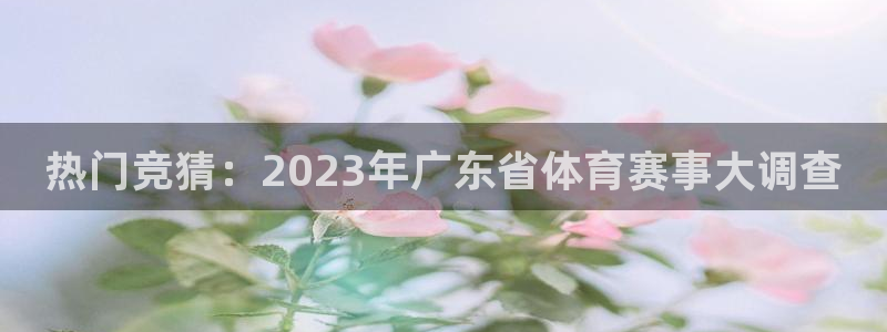 热门竞猜：2023年广东省体育赛事大调查