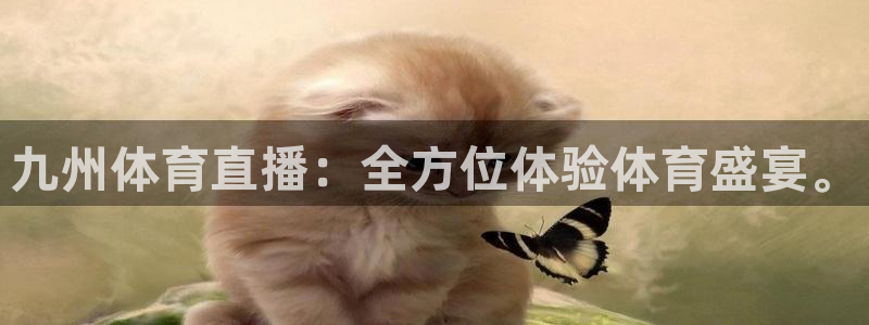 九州体育直播：全方位体验体育盛宴。