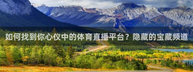如何找到你心仪中的体育直播平台？隐藏的宝藏频道