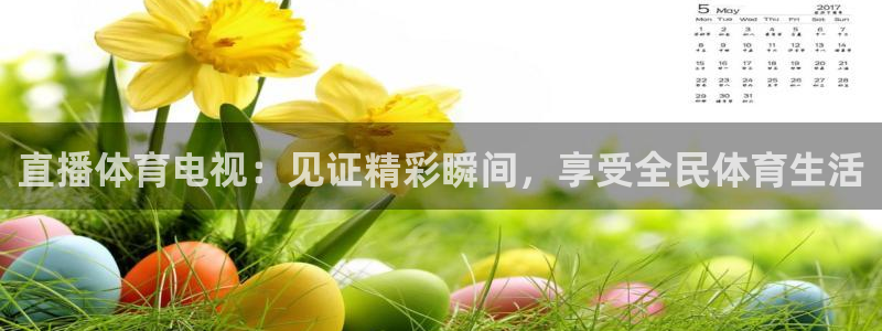 直播体育电视：见证精彩瞬间，享受全民体育生活