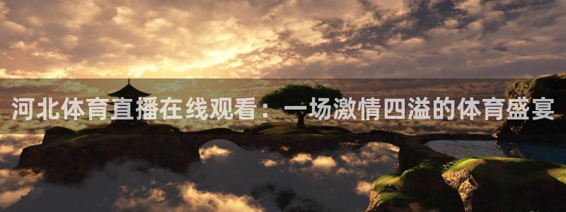 河北体育直播在线观看：一场激情四溢的体育盛宴