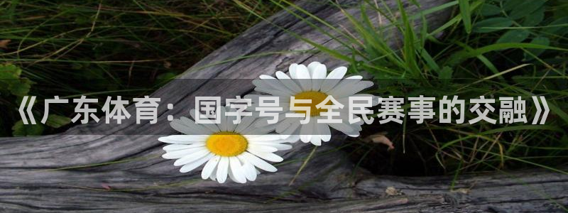 《广东体育：国字号与全民赛事的交融》