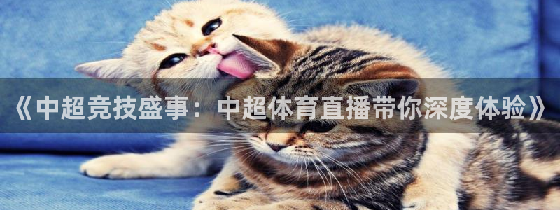 《中超竞技盛事：中超体育直播带你深度体验》