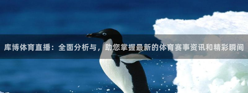 库博体育直播：全面分析与，助您掌握最新的体育赛事资讯和精彩瞬间