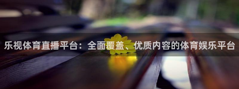 乐视体育直播平台：全面覆盖、优质内容的体育娱乐平台
